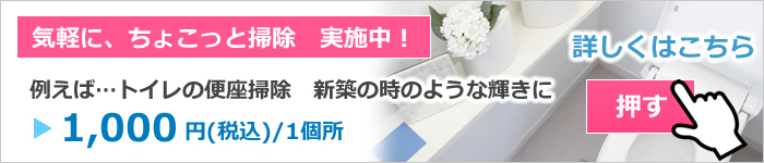 ちょこっと掃除、スポットハウスクリーニング